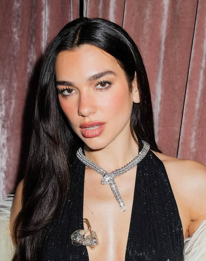 Dua Lipa Booking, Instagram Marketing & Brand Requests | SIN MANAGEMENT